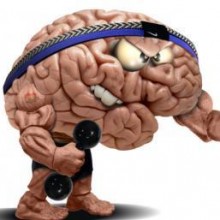 Já fez exercício (cerebral) hoje?