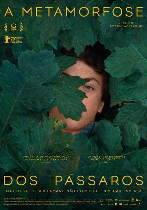 Filme: A metamorfose dos&nbsp;pássaros