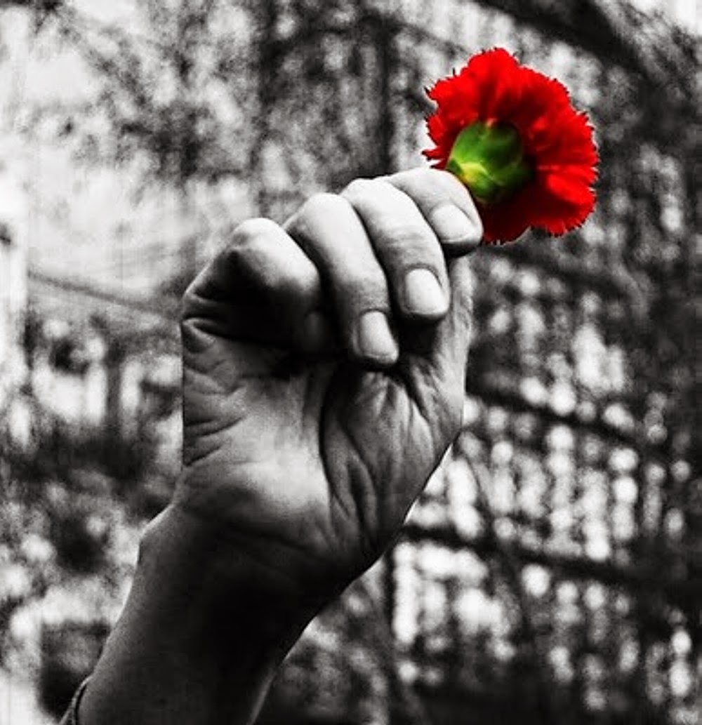 Viva a liberdade! Viva a paz! Viva a tolerância!